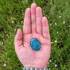 Blue Apatite Palm Stone.