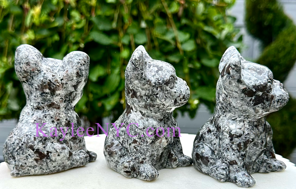 Natural Yooperlite aka Emberlite Dogs Crystal Healing