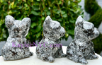 Natural Yooperlite aka Emberlite Dogs Crystal Healing