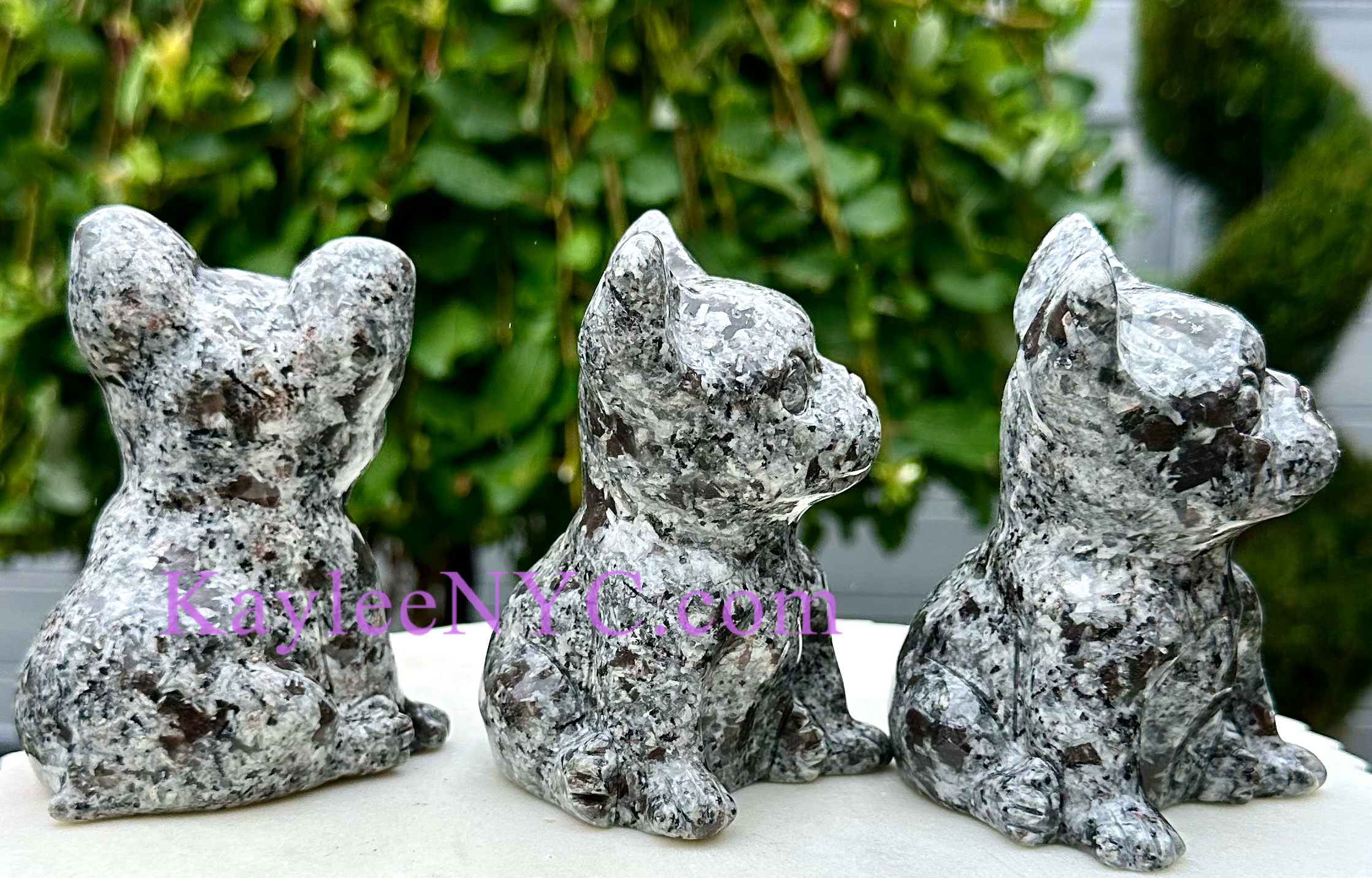 Natural Yooperlite aka Emberlite Dogs Crystal Healing