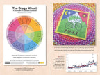 Psychedelic Reawakening by Anton Gomez-Escolar: Paperback 320 pages / English
