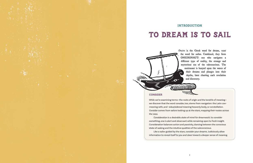 Dream Atlas by Fiona  Cook: Hardcover 208 pages / English