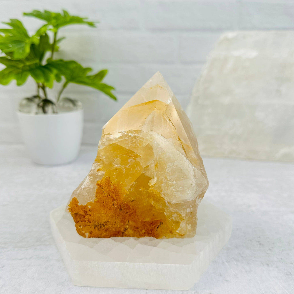 Golden Healer Semi Polished Point Crystal - By Weight: 100-200g