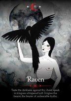 Seasons of the Witch: Samhain Oracle DELUXE EDITION by Lorriane Anderson: Flashcards 184 pages / English