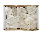 Crystal Quartz Cluster Flat Box - S126TS