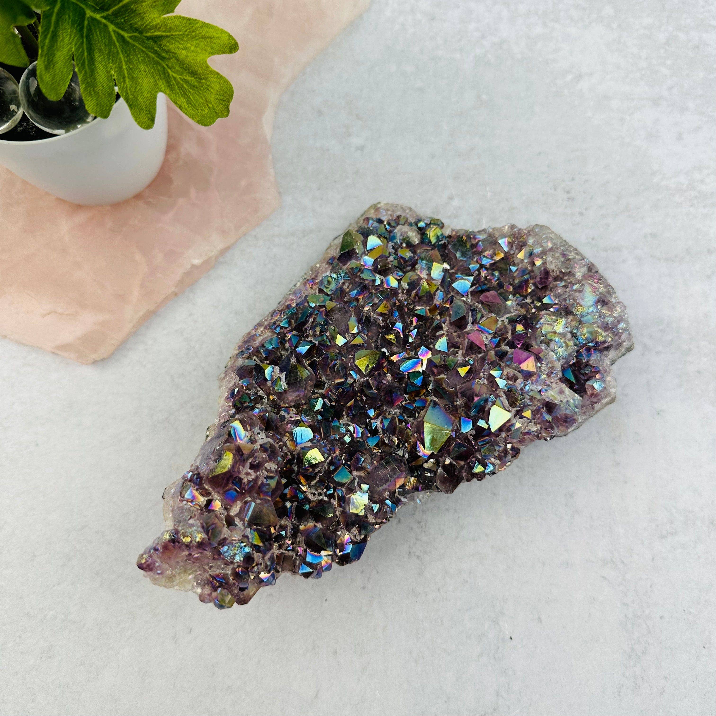 Amethyst Druzy Crystal Cluster with Angel Aura Pearly Finish: 200-300g