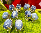 Natural Blue Kyanite Stud Earring 6x8mm