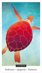 Familiar Field Oracle