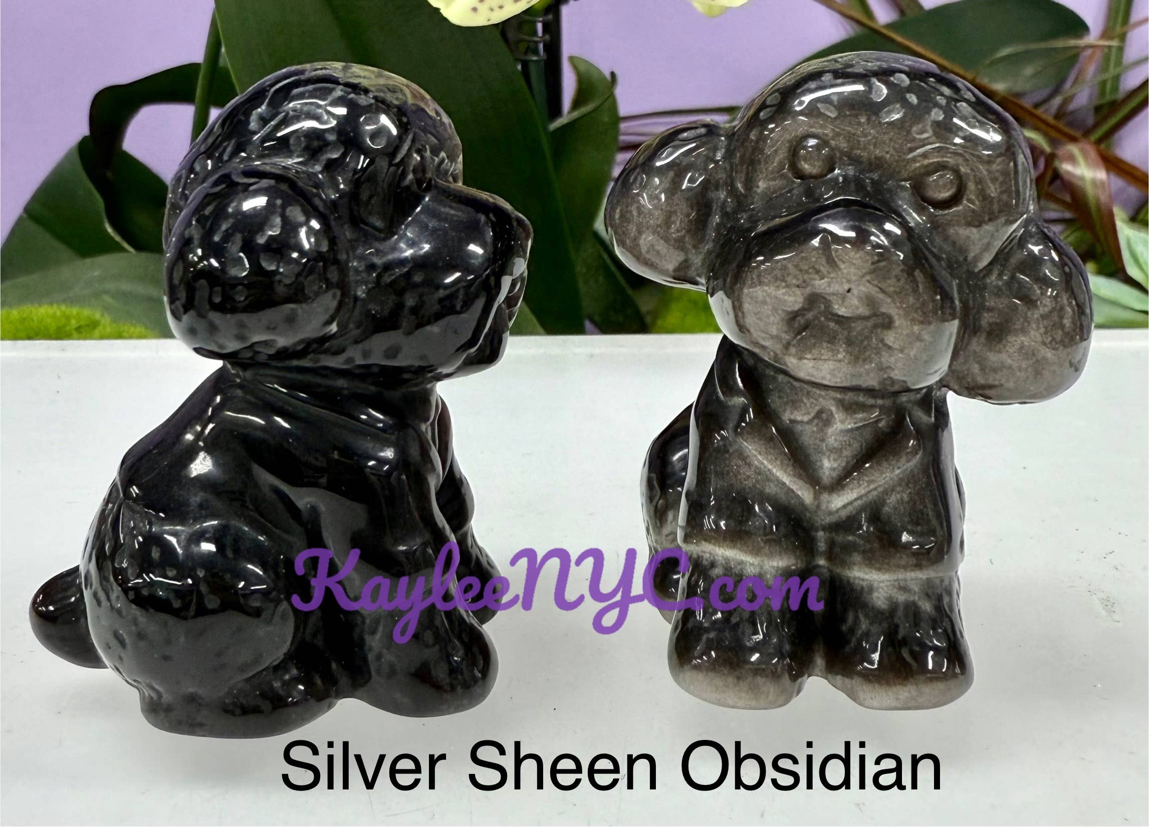 6cm Natural mix Crystal Toy Poodle Healing Energy