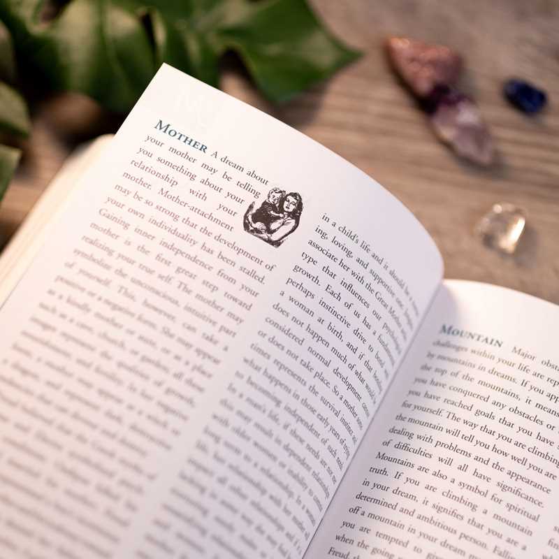 Dream Dictionary by Theresa Cheung: Paperback 592 pages / English