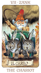 Tarot Of The Gnomes