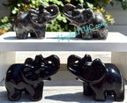 8.5 cm Natural Black Obsidian Yooperlite Elephants Healing