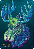 Echoes Of The Wild Souls: Spirit Animals