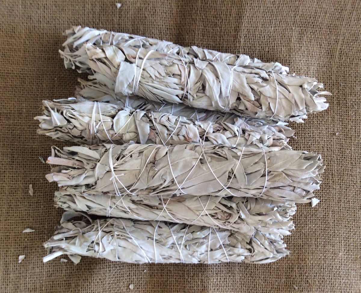 White Sage Wands 9in. - Bulk