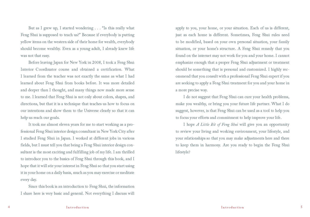 A Little Bit of Feng Shui by Ai Matsui Johnson