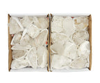 Crystal Quartz Cluster Flat Box - S126TS