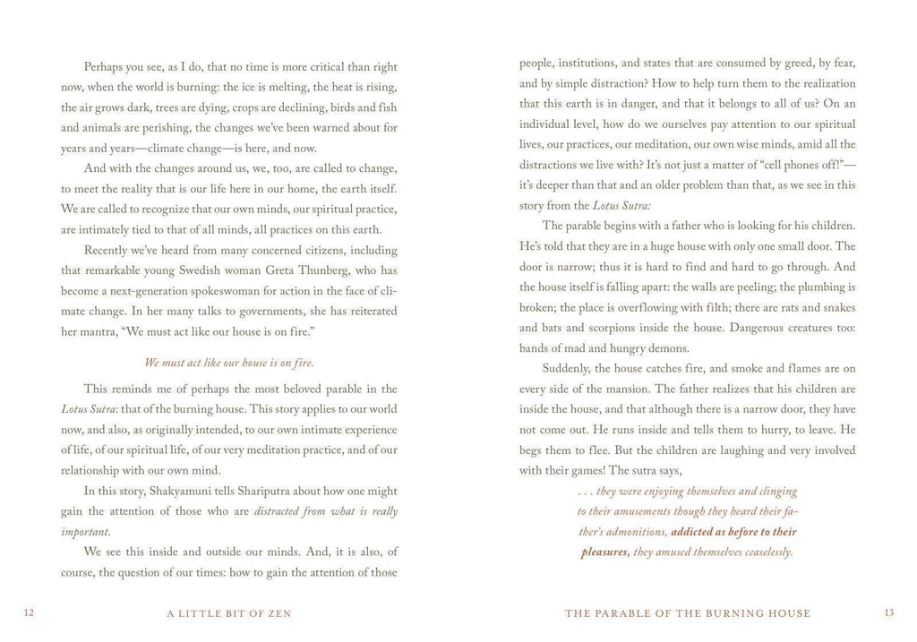 Little Bit of Zen: Hardcover
