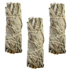 Organic Smudge Bulk Mini California White Sage Pack 24
