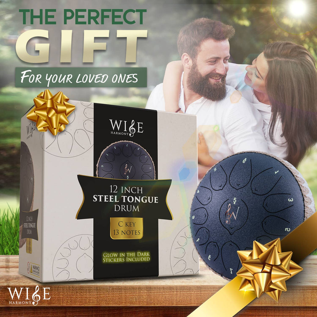 12-Inch Steel Tongue Drum - 13 Notes - Rain Drum: Blue