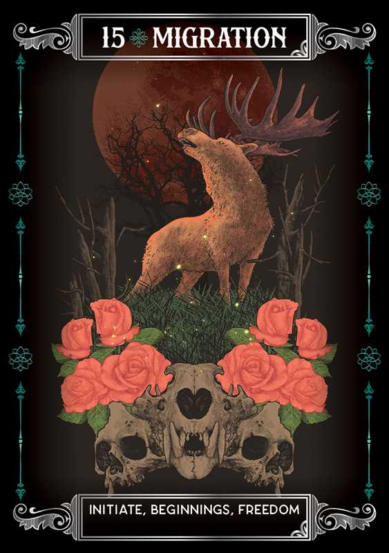 Earth & Bone Oracle by Sirian Shadow: Flashcards 112 pages / English
