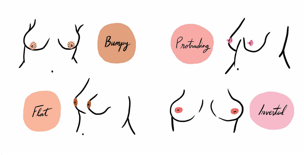The Boob Book