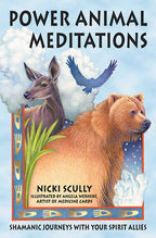 Power Animal Meditations by Nicki Scully: Paperback 280 pages / English