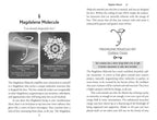 Magdalene Manifestation Cards by Danielle Rama Hoffman: Flashcards