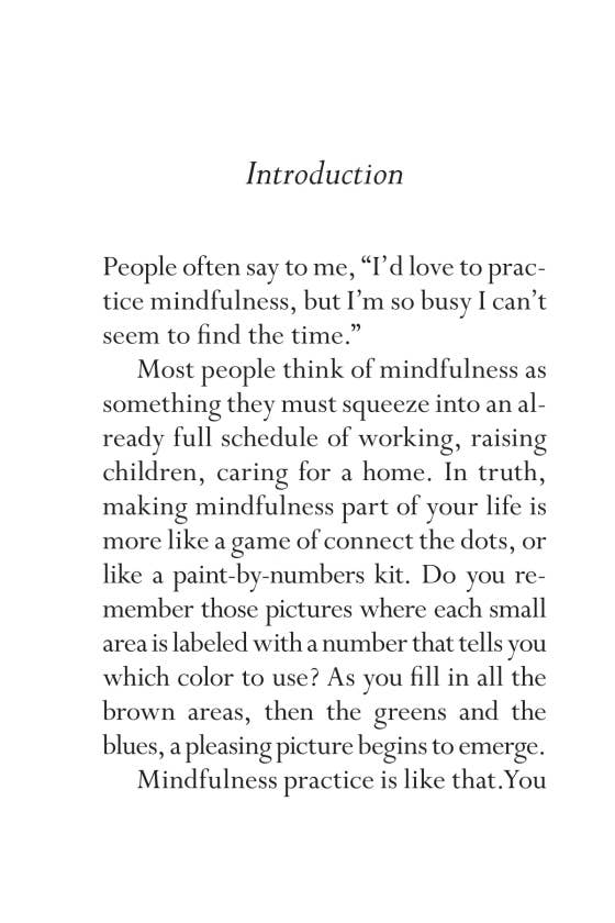 Mindfulness On The Go (Shambhala Pocket Classic)