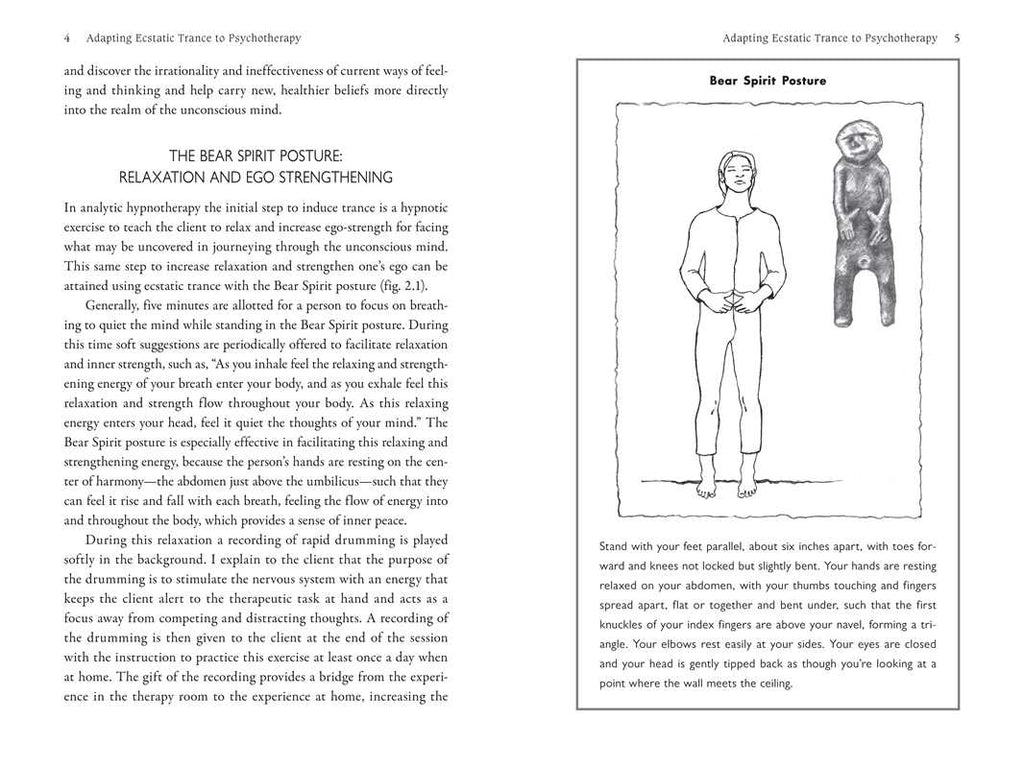 Ecstatic Soul Retrieval by Nicholas E. Brink: Paperback 208 pages / English