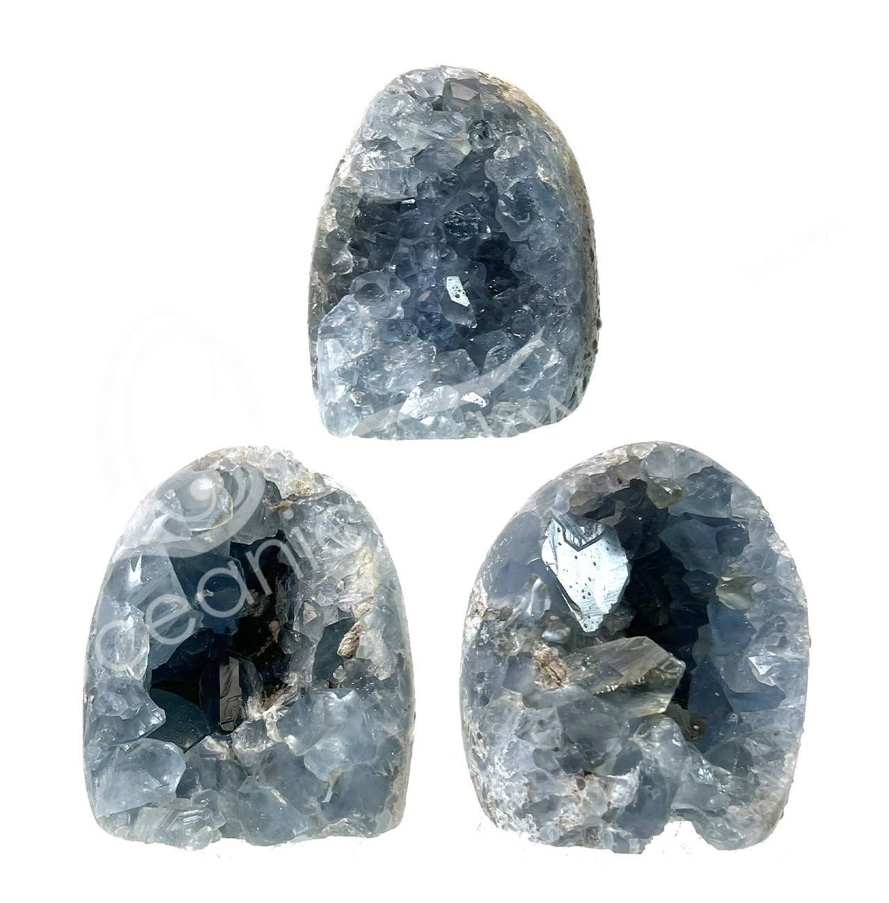 Free Shape - Celestite With Druse 2-4"