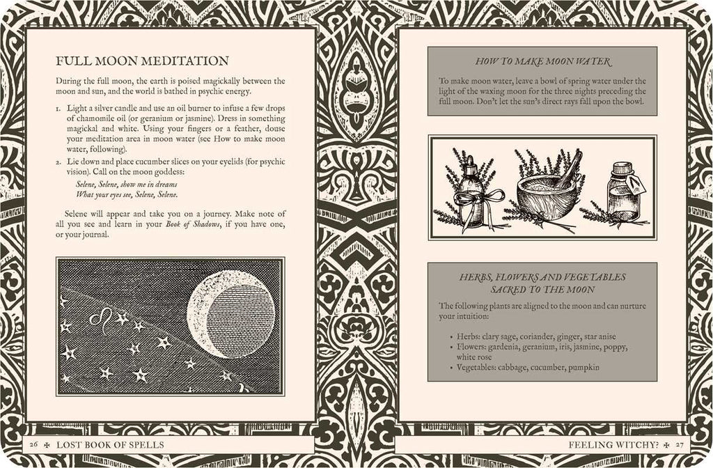 Lost Book of Spells by Fiona Horne: Hardcover 240 pages / English