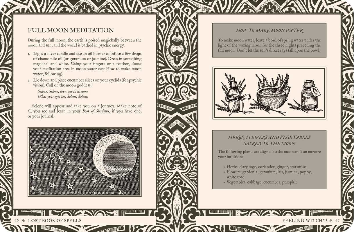 Lost Book of Spells by Fiona Horne: Hardcover 240 pages / English