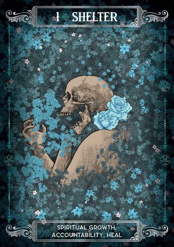 Earth & Bone Oracle by Sirian Shadow: Flashcards 112 pages / English