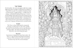 Tarot Coloring by: Paperback 96 pages / English