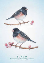 Spiritual Meaning of Birds Oracle Deck by Arin Murphy-Hiscock: Flashcards 50 pages / English