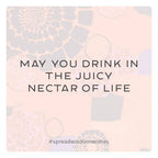 Wisdom Wishes: Cards to spread Joy, Inspiration, and Kindness into the world around you