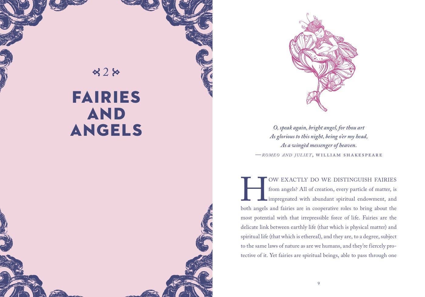 A Little Bit of Fairies by Elaine Clayton: Hardcover