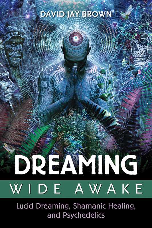 Dreaming Wide Awake by David Jay Brown: Paperback 416 pages / English