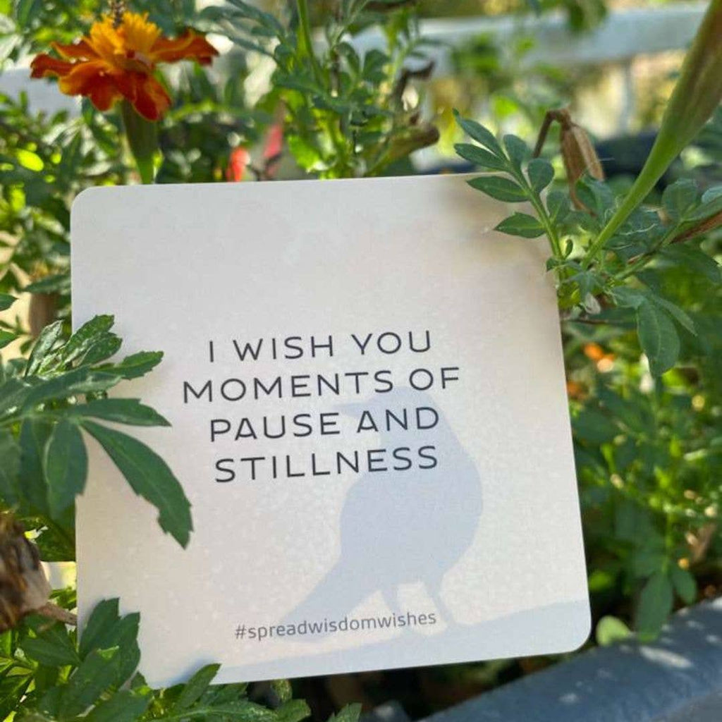 Wisdom Wishes: Cards to spread Joy, Inspiration, and Kindness into the world around you