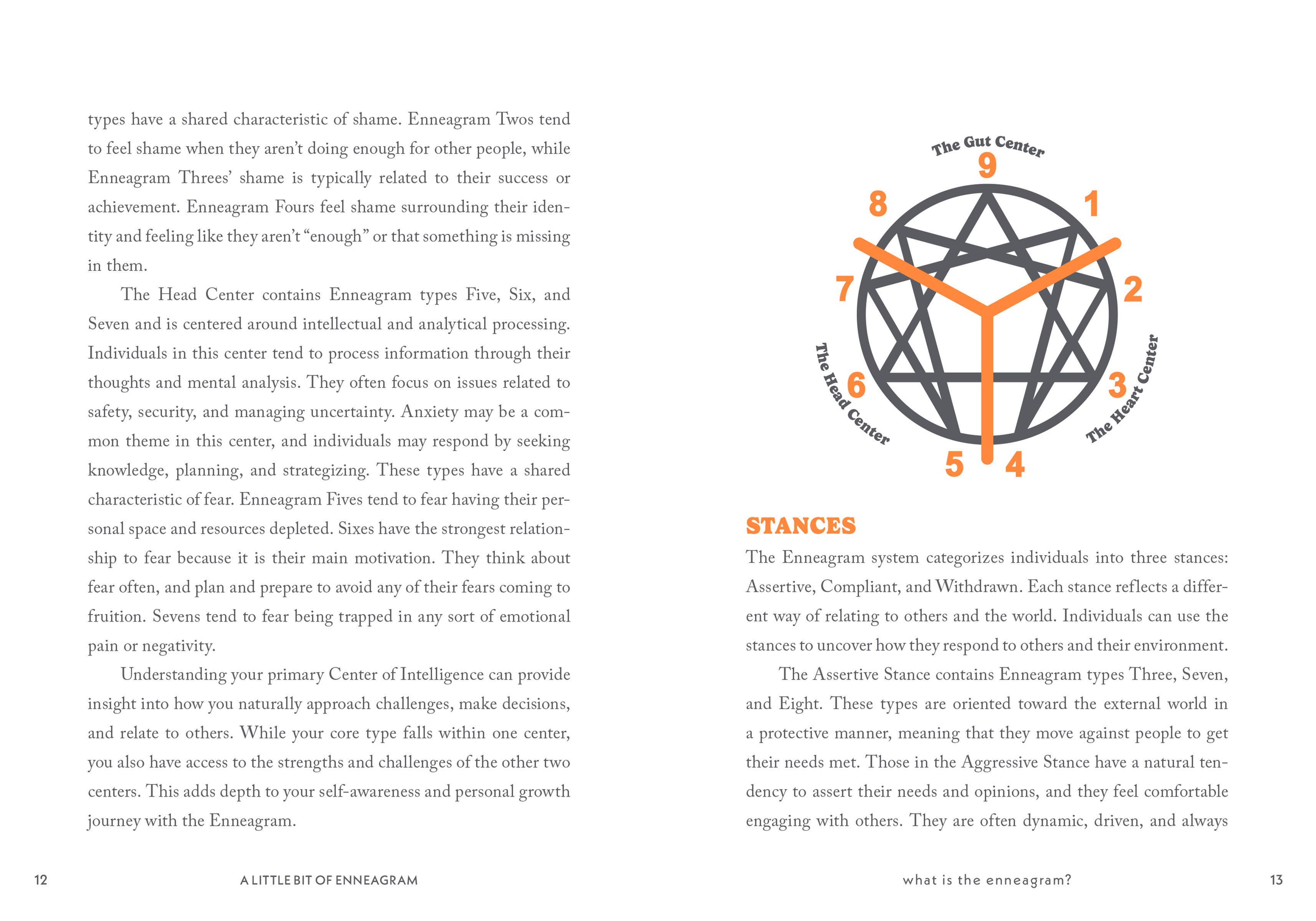 A Little Bit of Enneagram: An Introduction: Hardcover