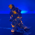 Yooperlite Godzilla