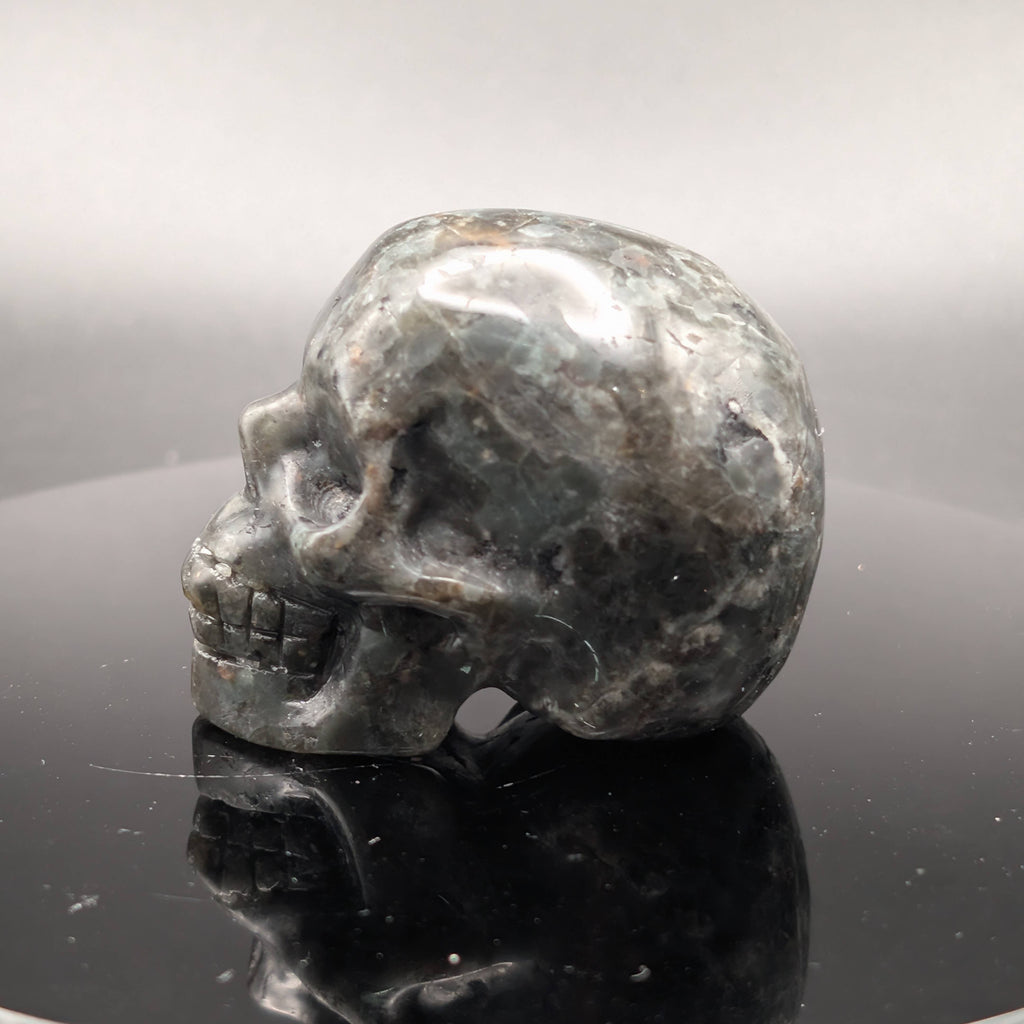 Yooperlite Skull