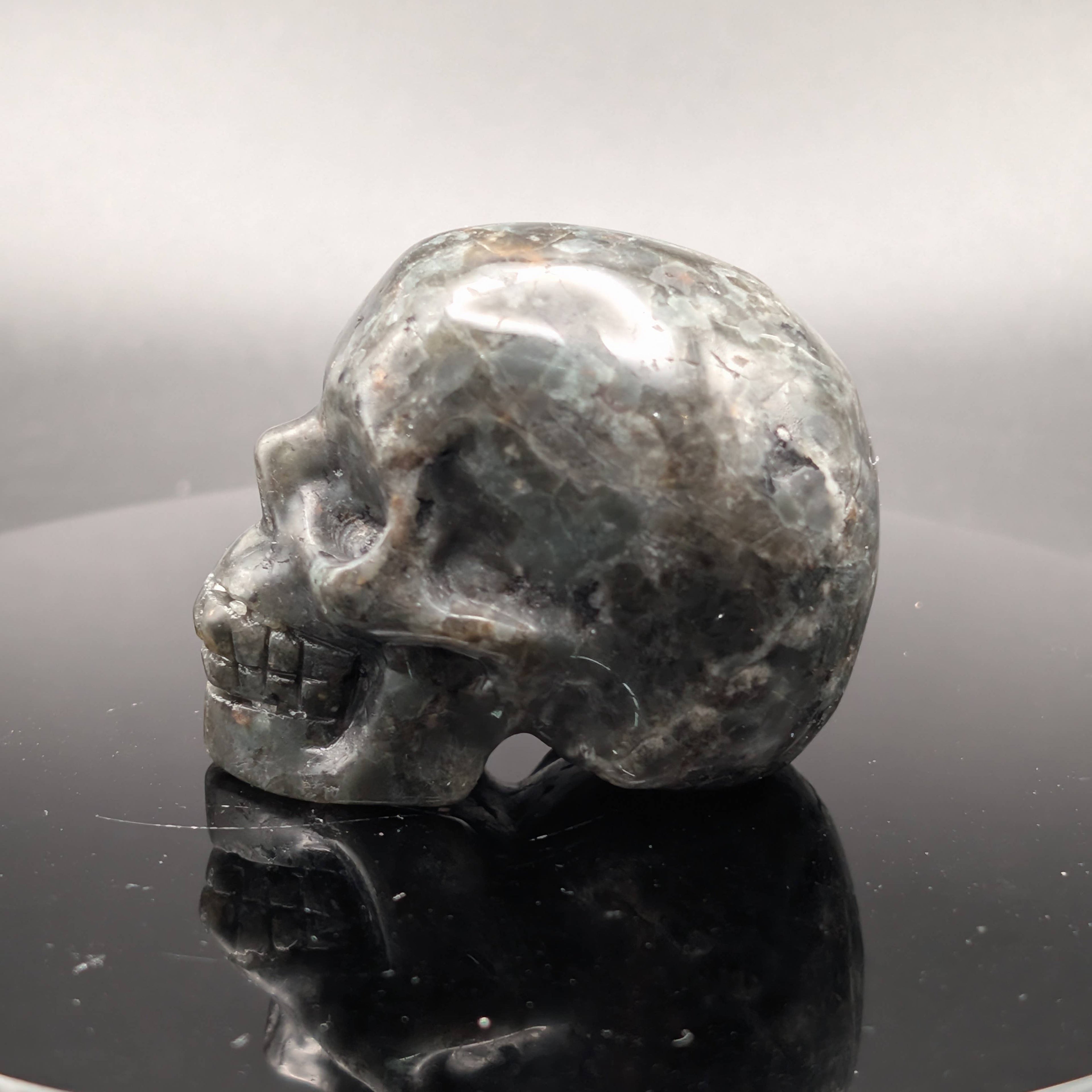 Yooperlite Skull