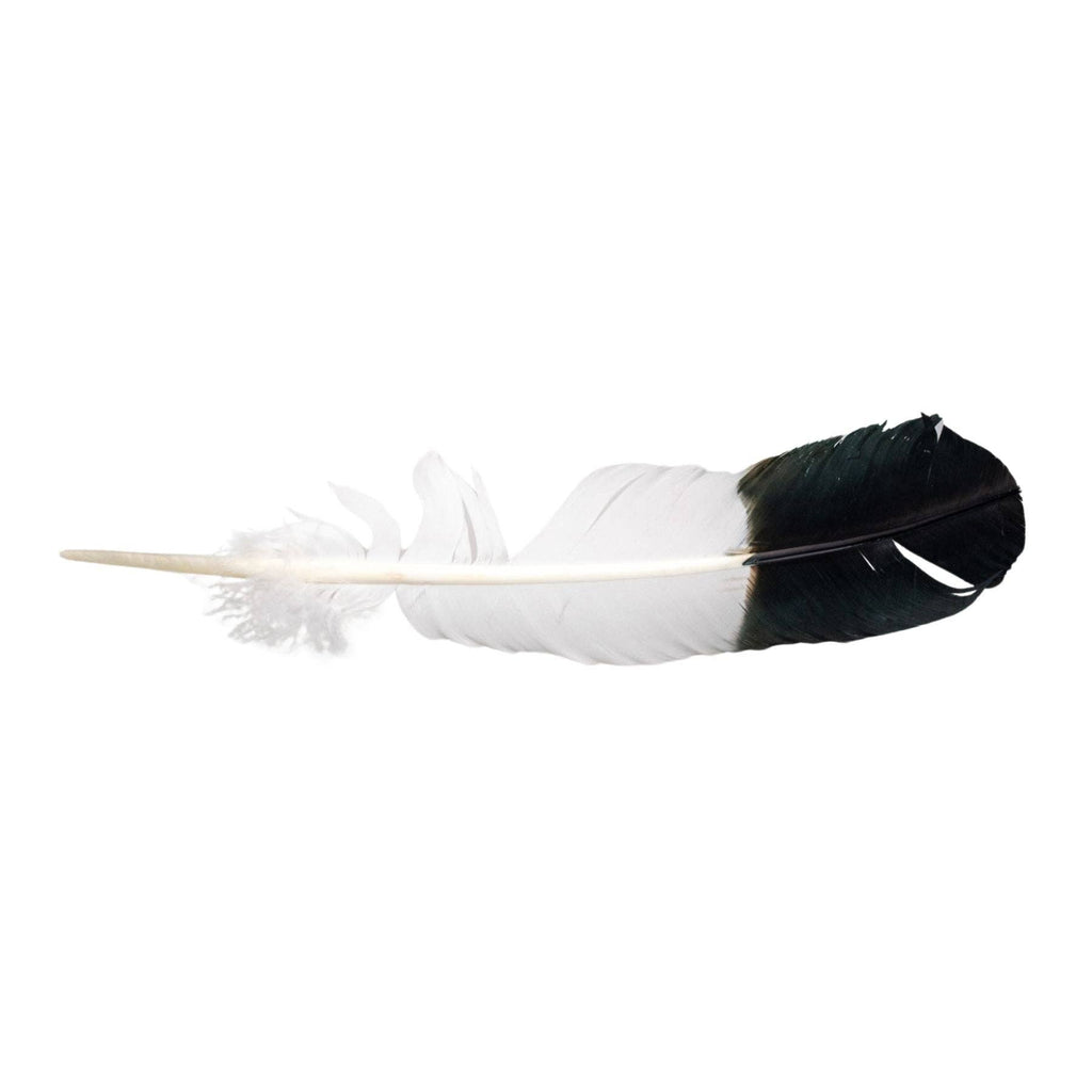 Imitation Eagle Feather.