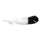 Imitation Eagle Feather.