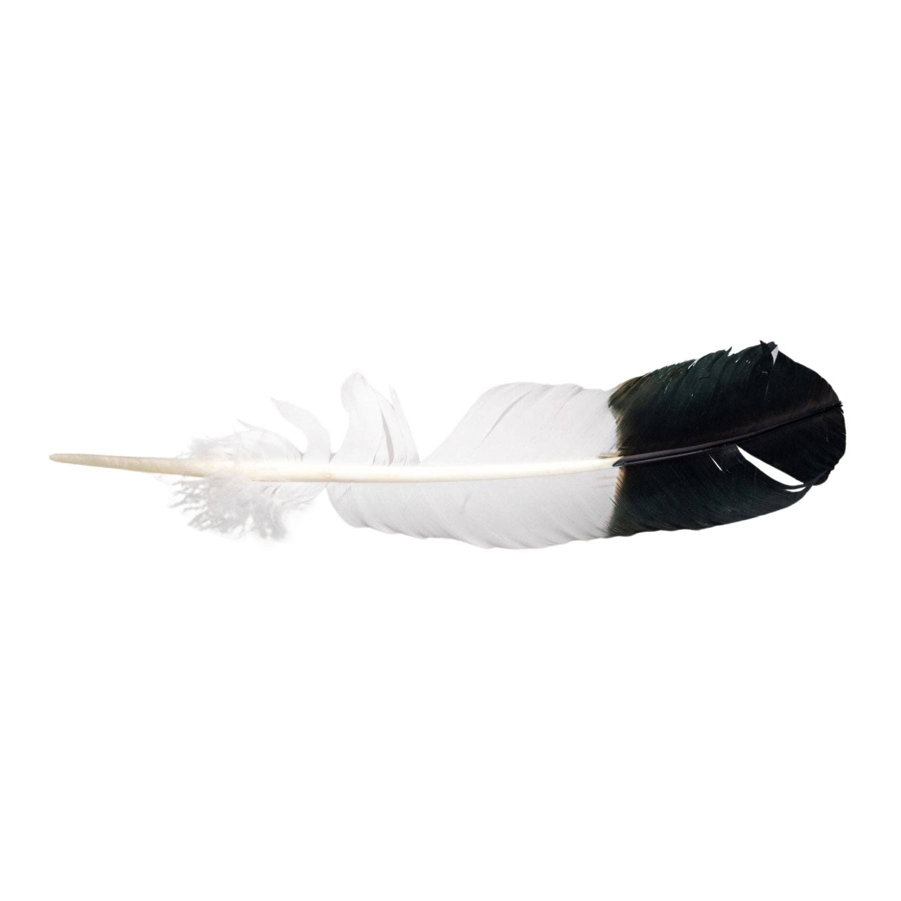 Imitation Eagle Feather.