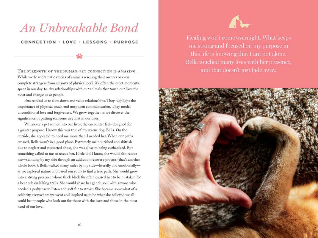 Connecting with Our Pets in Heaven by Desha Utsick: Paper Over Board 128 pages / English