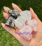 6cm Natural mix Crystal Toy Poodle Healing Energy