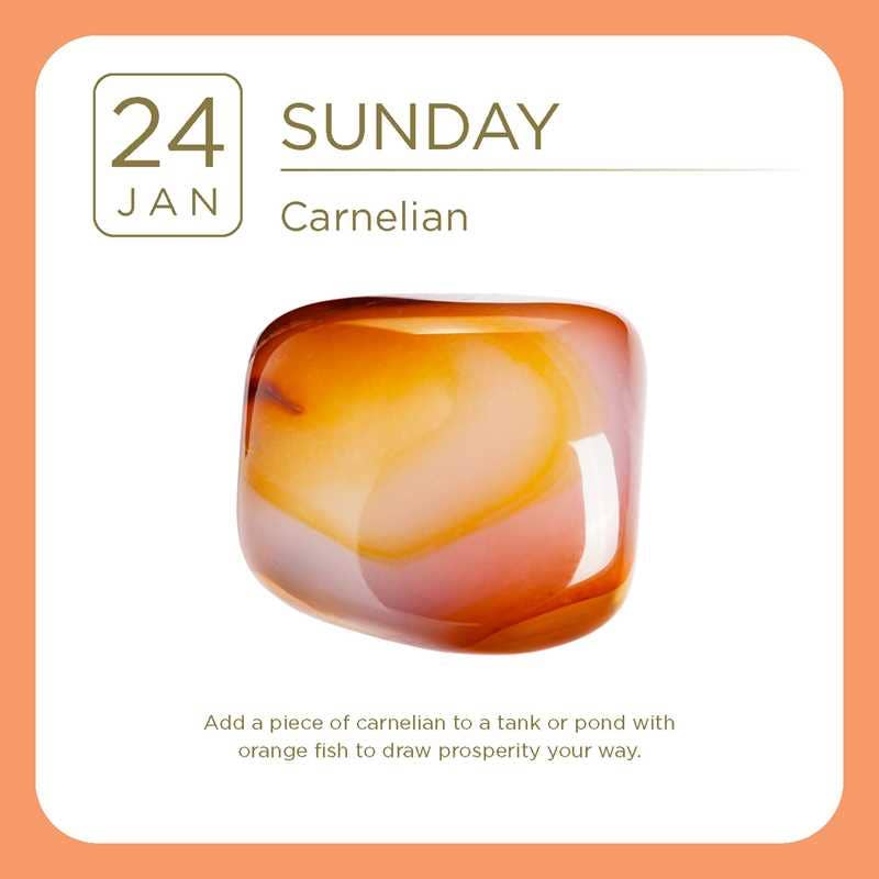 2027 Crystal Day-to-Day Calendar by Adam Barralet: Calendar 736 pages / English