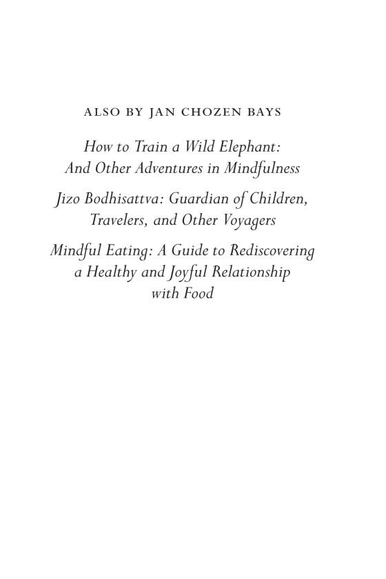 Mindfulness On The Go (Shambhala Pocket Classic)